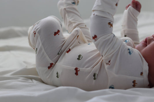Cars + Trucks Zip Bamboo Pajamas
