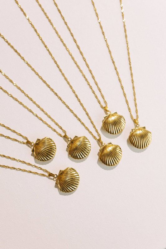 Shore Thing Shell Necklace